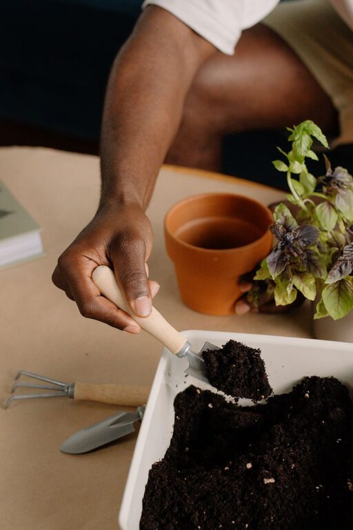 How to Start a Small Herb Garden Indoors for Fresh Flavors Year-Round